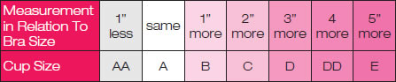 Bra and Cup size measurement chart